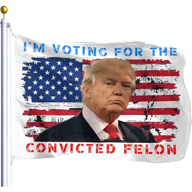 Estoy votando por el delincuente convicto 2024 Bandera de jardín Vote Bandera de la casa y Bandera de la casa de bienvenida y Bandera de México para exteriores y Bandera de la casa de primavera y