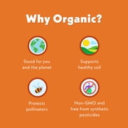 (2 pack) Once Upon a Farm Organic Baby Puffs, Mango, Carrot & Coconut, 1.5oz Canister