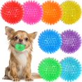 thumbnail image 1 of Pelotas de juguete para perros VITEVER, 8 colores, 6,35 cm, para perros pequeños y medianos, 1 of 7
