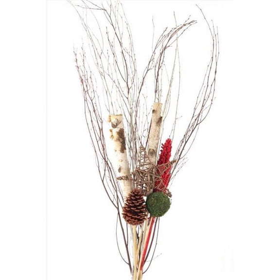 Second Nature 9081106 Winter Birch Indoor Christmas Decor, Multi Color - Pack of 10