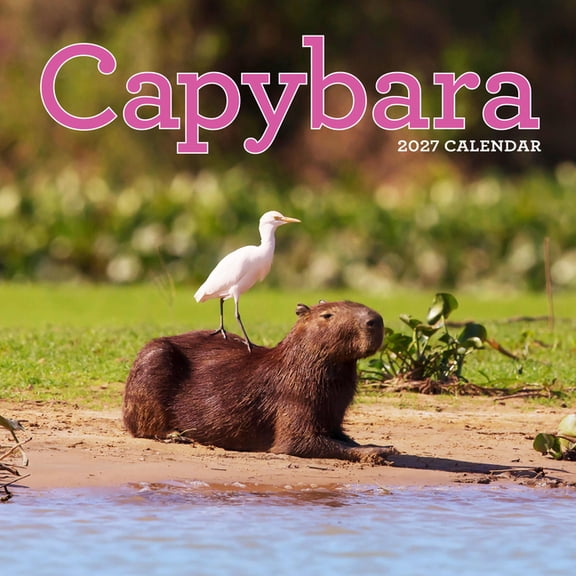 Capybara Wall Calendar 2027: A Happy, Capy Year, (Paperback)