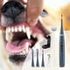thumbnail image 3 of Pasta de dientes para perros. Pasta de dientes para mascotas poco común. Limpiador dental para animales poco común. Limpiador dental para perros poco común, 3 of 7