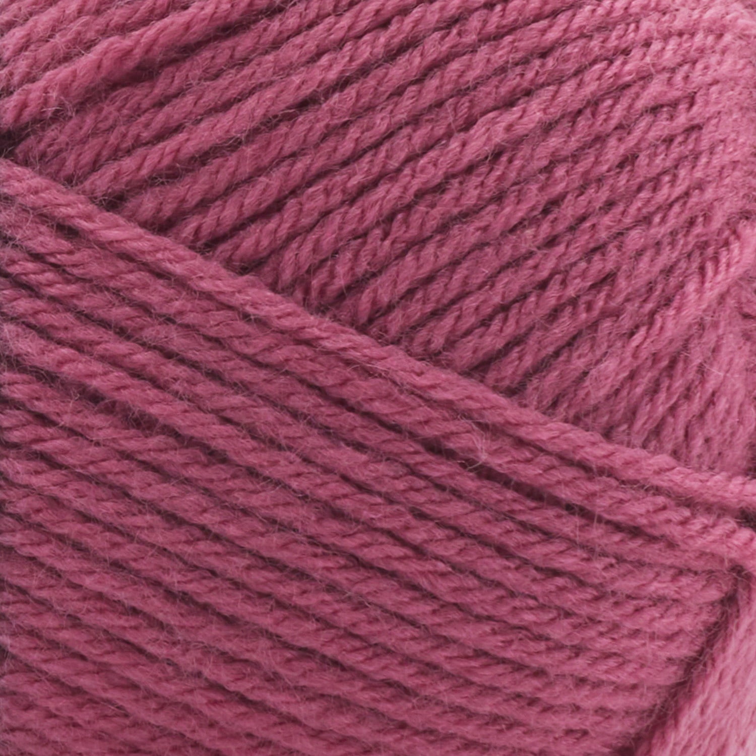 1142|16 Rose