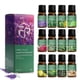 thumbnail image 2 of Aceites esenciales para difusores Lavanda Eucalipto Árbol de té Menta Romero Menta Bergamota Limón Rosa Aceite esencial puro 10 ml, 2 of 5