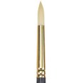 thumbnail image 1 of CEPILLO DIXON TIC/PRINCETON DIXON TIC/PRINCETON BRUSH  PB6300R2, 1 of 1