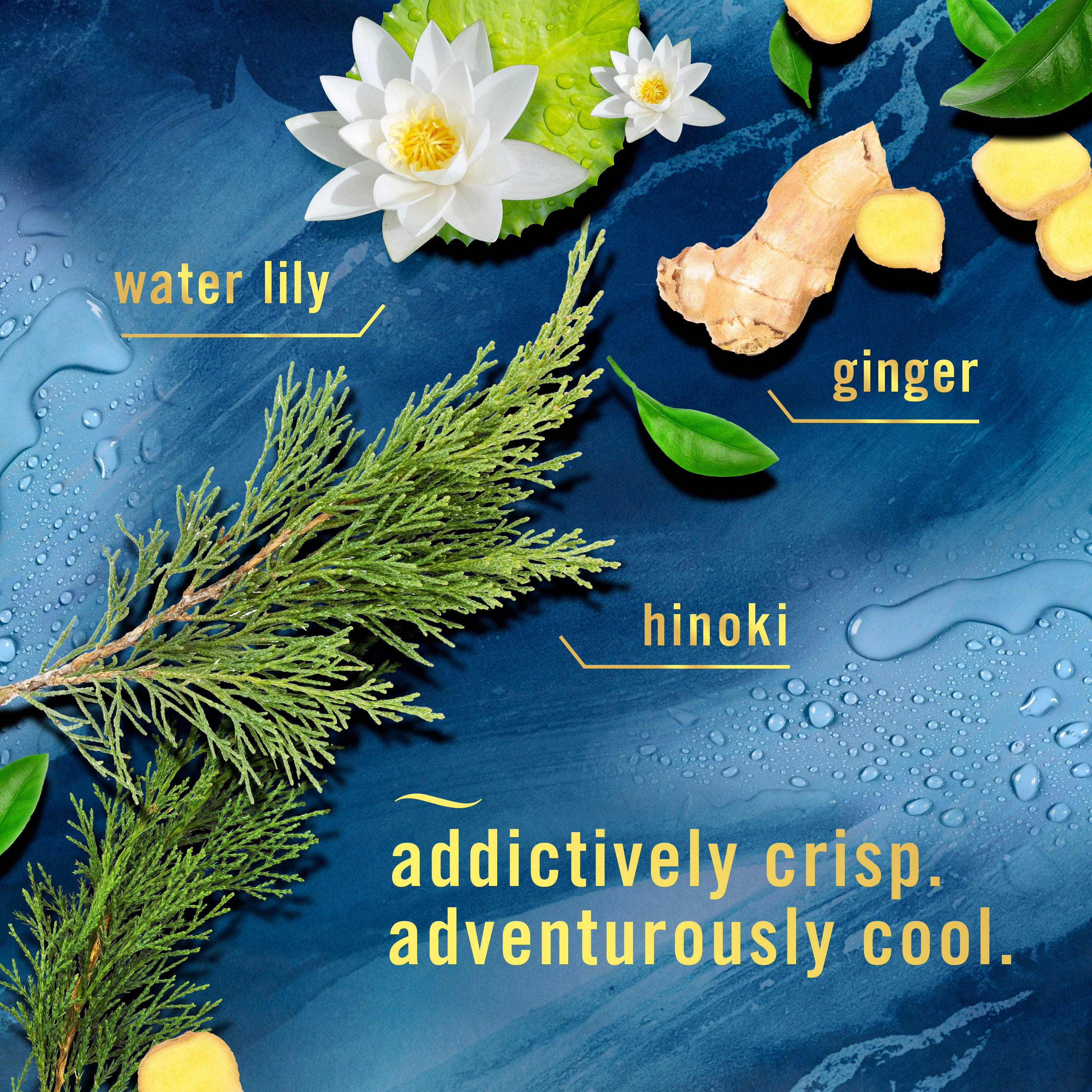 Assainisseur d’air en vaporisateur Febreze, assainisseur d’air pour la maison, parfum Océan, 250g, 2unités 250G