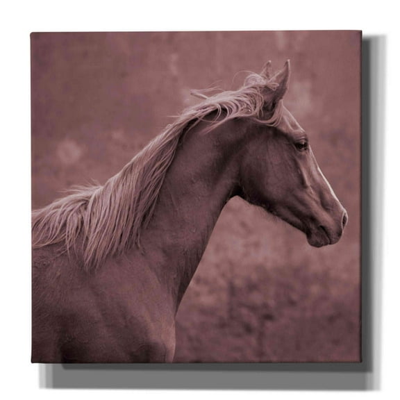 Epic Graffiti 'colt' by Susan Friedman,, 12"x12"