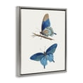 thumbnail image 3 of Stupell Industries Blue Butterflies Pair Gray Framed Floater Canvas Wall Art design by Arlington Prints, 21 x 17, 3 of 9