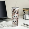 thumbnail image 4 of Sweet Ragdoll Cats 20oz Insulated Water Bottle Skinny Tumbler Includes Straw, 4 of 7