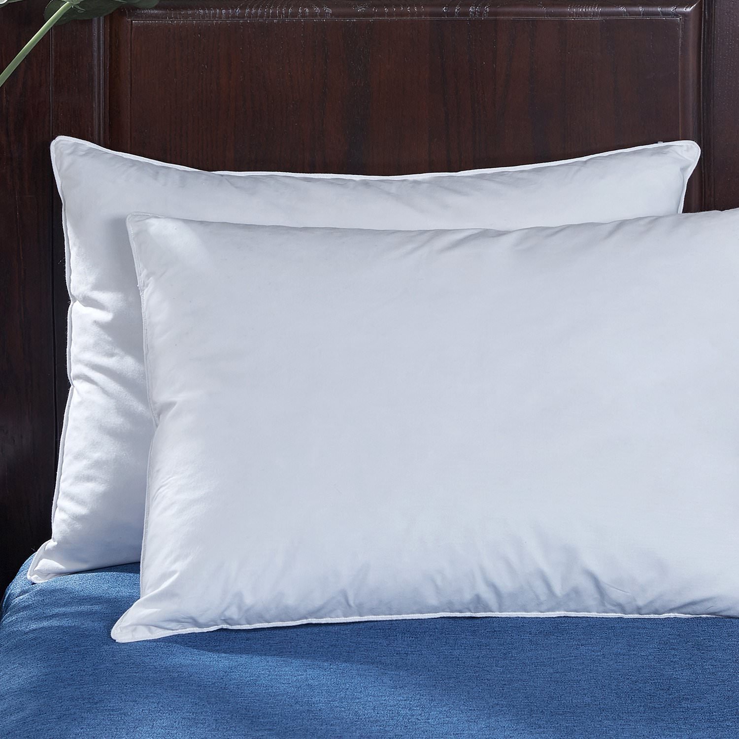 Puredown Goose Feather and Down Pillow, White, Set of 2, Standard/Queen