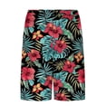 thumbnail image 6 of DPTALR Men's Hawaiian Style Printed Casual Beach Shorts with Drawstring, Pockets & Inner Lining,Multicolor,Big and Tall Men XL, 6 of 6