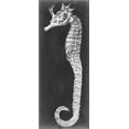 thumbnail image 2 of Vision Studio 10x18 White Modern Wood Framed Museum Art Print Titled - Seahorse Blueprint I, 2 of 4