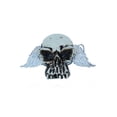 thumbnail image 1 of Rest In Peace Skull Winged Design Steel Belt Buckle, 1 of 1
