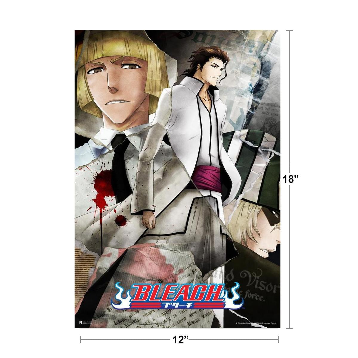 Bleach, The largest selection of gifts and posters