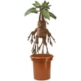 thumbnail image 1 of La Noble Coleccion Harry Potter Mandragora de Felpa Electron The Noble Collection, 1 of 2