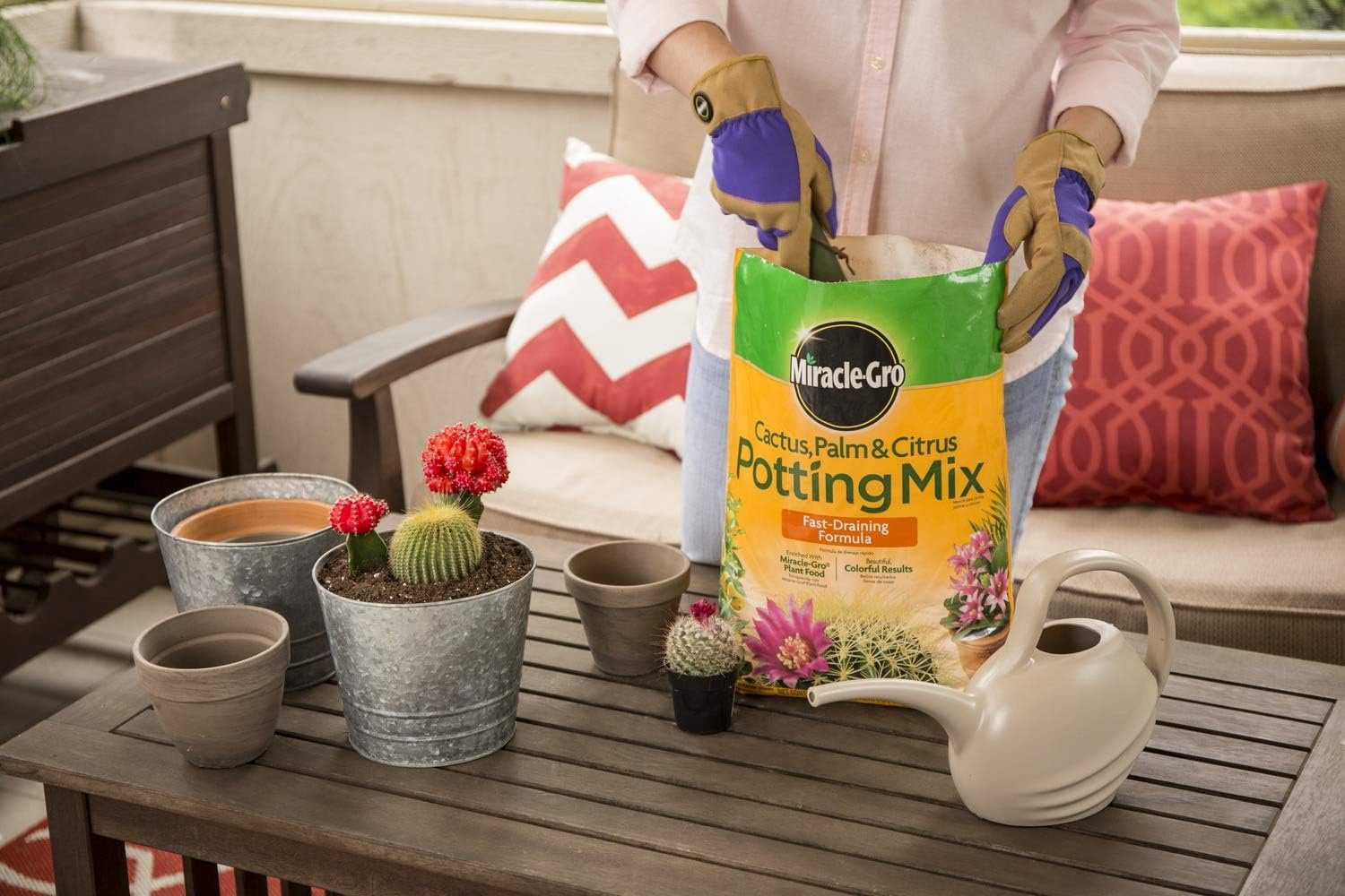 Miracle-Gro Cactus, Palm & Citrus Potting Mix, 8 qt. 3-Pack — Residential Use, Standard Application