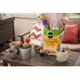 thumbnail image 3 of Miracle-Gro Cactus, Palm & Citrus Potting Mix, 8 qt. 3-Pack — Residential Use, Standard Application, 3 of 7