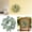 Green, variant on Noothes Eucalyptus Wreath Mini Wreath Small Eucalyptus Wreath Artificial Greenery Table Decoration Indoor Farmhouse Style