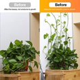thumbnail image 4 of Clips de soporte para plantas trepadoras, 50 unidades, gancho autoadhesivo para fijación de pared, soporte para plantas trepadoras, decoración del hogar (blanco), 4 of 5