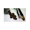 thumbnail image 4 of Mont Marte Acrylic Colour 2.5oz Burnt Umber, 4 of 4