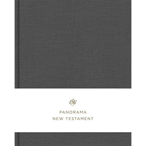 ESV, Panorama New Testament (Toile sur la Planche, Gris)