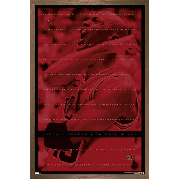 Michael Jordan - Achievements Wall Poster, 14.725" x 22.375", Framed