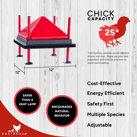 Chick Brooder Heating Plate and Anti-Roost Cone Set - 12" x 12"
