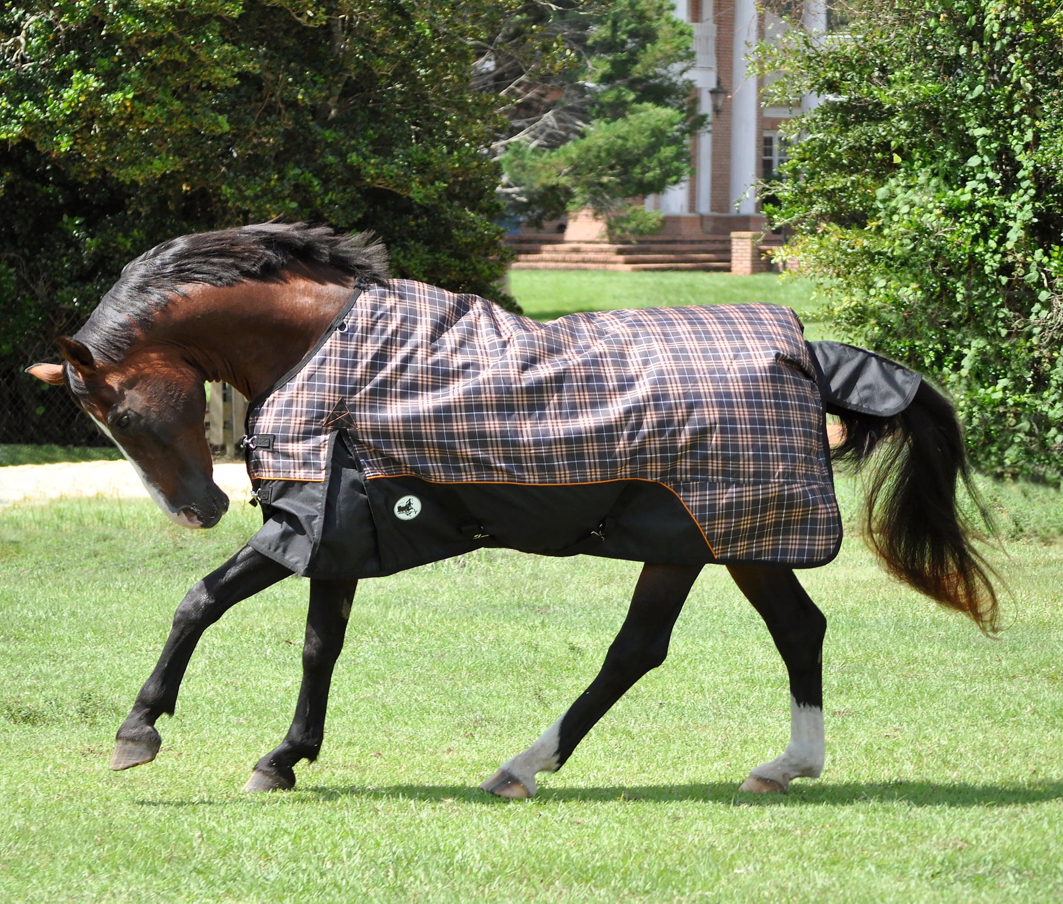Jeffers 1200D Economy Plus Horse Blanket, Tan Plaid 240g