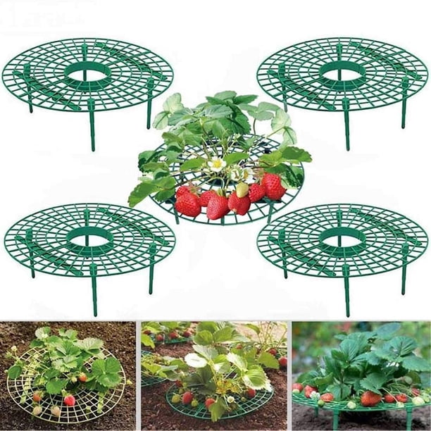 Soportes De Fresa Estantes De Plantación Estantes De Soporte De Vid Trepadora Herramientas De Jardinería 5 Uds Scienceny HA037291-00