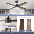 thumbnail image 2 of Prominence Home 44" Atlas Espresso Remote Control Ceiling Fan, 4 Blades, 2 of 10