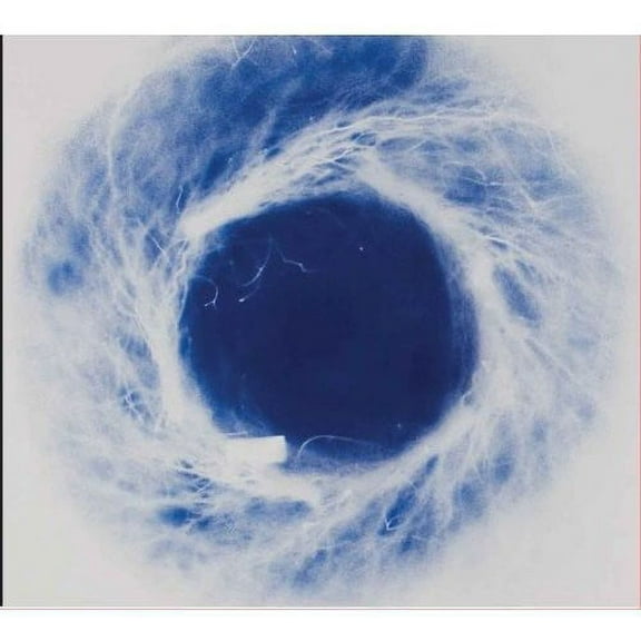 Kim Gordon - Yokokimthurston - Music & Performance - CD