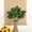 D, variant on Tuscom Artificial Potted Plants, 2-Pack Faux Greenery Arrangements, Lifelike Ficus Benjamina and Philodendron in Plastic Pots,Outdoor UV Resistant Landscaping