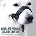 thumbnail image 3 of GoodBoy Dog Head Halter con correa de seguridad - Topes, 3 of 5
