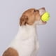 thumbnail image 2 of Juguetes de Tenis chirriantes Best Pet Supplies Alta Resistencia para Perros, Paquete de 4, para Eje, 2 of 7