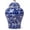 A1, variant on Porcelain Airtight Canister for Loose Tea: Ceramic Ginger Jar with Lid, Vintage Chinese Style Ceramic Spice Storage Caddy Large Sugar Jar, Enamel Decorative Vase for Home Decor (A19)