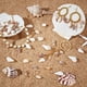 thumbnail image 5 of 100 piezas de 4 estilos de dijes de concha natural, colgantes de concha marina, eslabones para collares, pulseras, fabricación de joyas, conector de concha de caracola, dije de mar de verano, 5 of 6