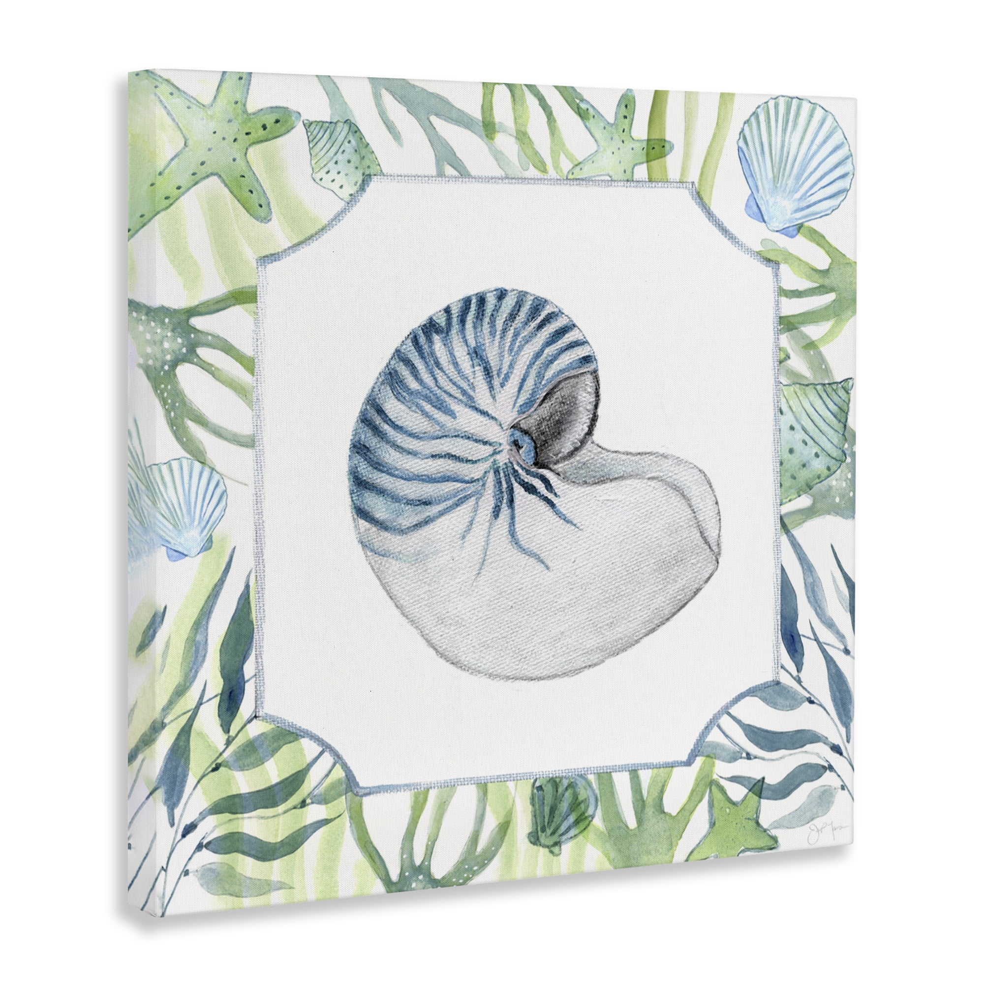 Stupell Industries Seaweed & Seashells Aquatic Canvas Wall Art, design by Janet Tava