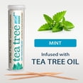 thumbnail image 7 of Xero Picks Tea Tree Infused Flavored Toothpicks For Fresh Breath - 60 Picks (3 Pack) (Mint), 7 of 7