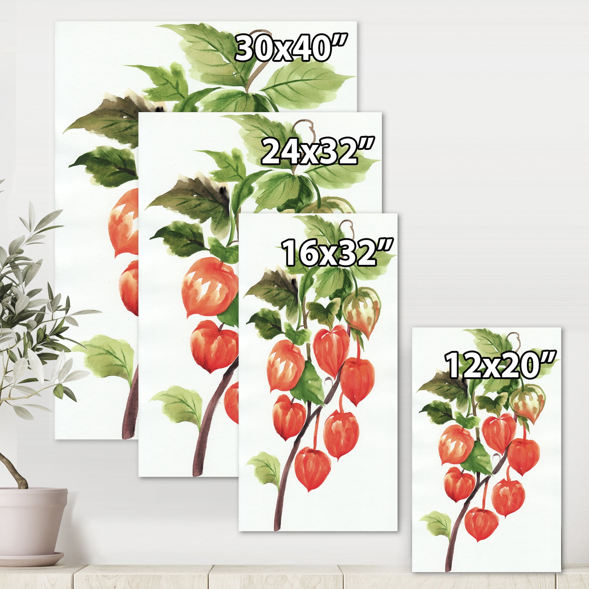 Designart ' A Red Physalis Branch ' Traditional Canvas Wall Art Print