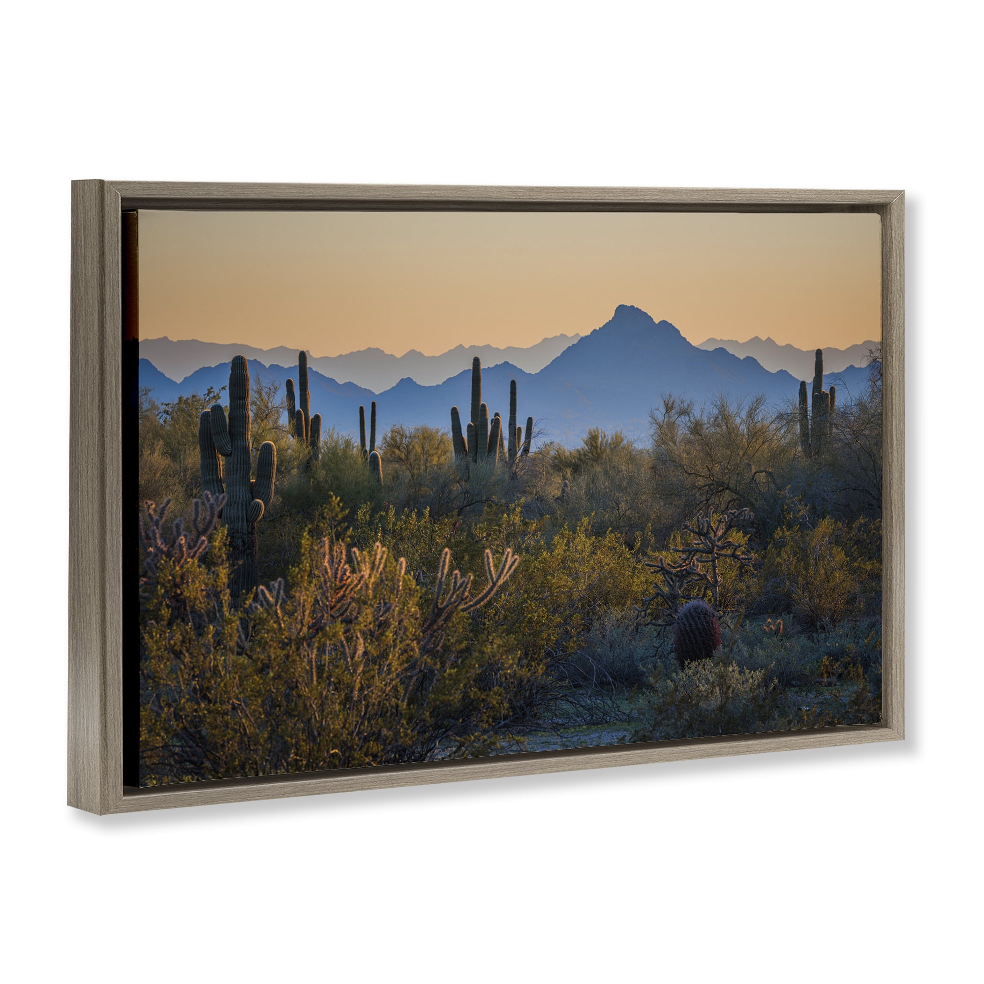 Stupell Industries Contrasting Desertscape Scene Landscape & Nature Photography Brown Floater Framed Canvas Art Print Wall Art, 31 x 21