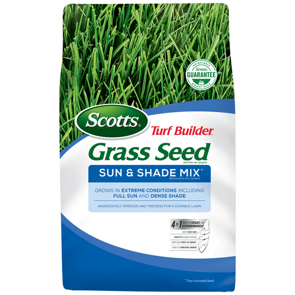 Grass Seed