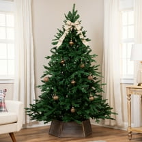 Northlight Real Touch™️ Full Alamosa Fir Artificial Christmas Tree - 7' -Unlit