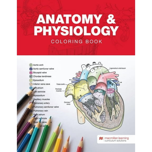 Anatomy & Physiology Coloring Book, (Spiral-Bound)
