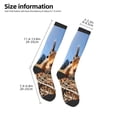 thumbnail image 2 of Logiee Close-Up Curious Squirrel Print Gift Stocking Stuffers,Adult Stockings,Novelty Socks,Funny Socks Birthday Running Walking Sleeping, 2 of 6
