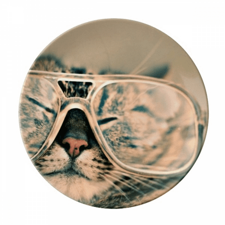 

Animal Glasses Cat Photograph Shoot Plate Decorative Porcelain Salver Tableware Dinner Dish