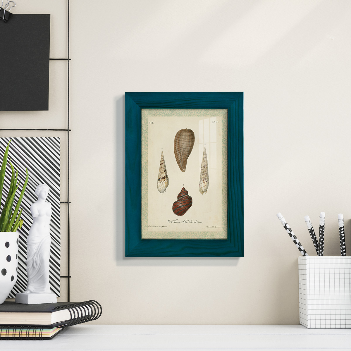 Bookplate Shells V - Framed Print w/glass - Ocean Blue