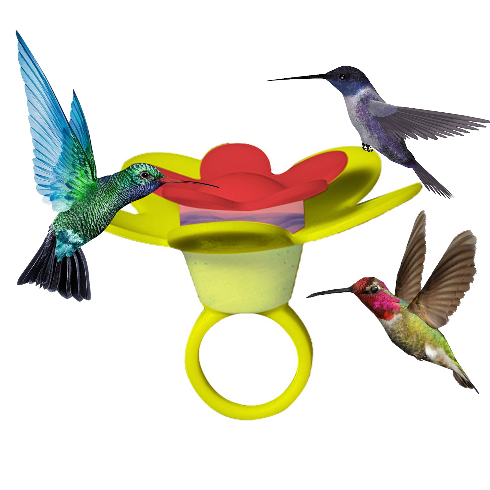 Flower Hummingbird Ring Feeder Attract and Admire Cute Hummingbirds