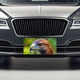 thumbnail image 3 of Red-Tailed Hawk Raptor Bird Of Prey Metal Novelty License Plate, 3 of 7