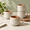 Sage Ash-12 Oz, variant on Small Stoneware Ceramic Coffee Mugs Set Of 4-6 Oz - Rose Sand