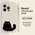 thumbnail image 1 of Muestra tu estilo: funda plateada arcoíris de doble capa esmerilada con ilustración peculiar para iPhone 15 Pro Max 14 13 12 Pro 11, 1 of 4